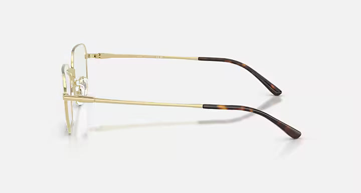 RB8784D TITANIUM OPTICS