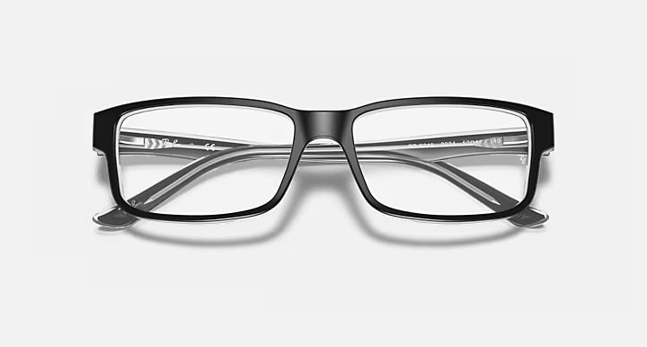 RB5245 OPTICS