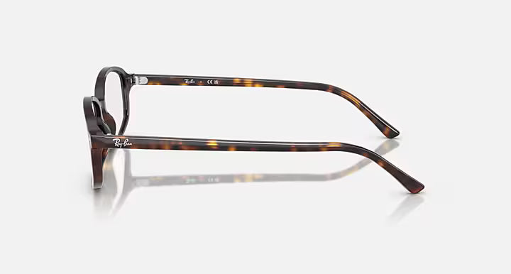 SAM OPTICS