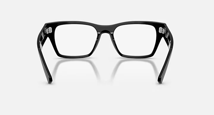 RB5448 OPTICS
