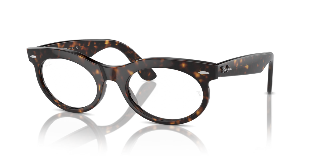 WAYFARER OVAL TRANSITIONS®