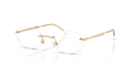 RB3767V OPTICS