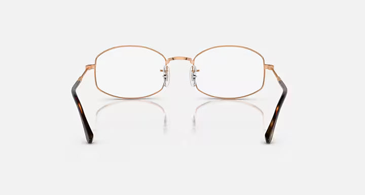 RB6510 OPTICS