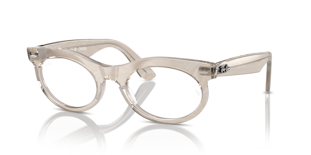 WAYFARER OVAL OPTICS CHANGE