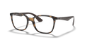 RB7066 OPTICS