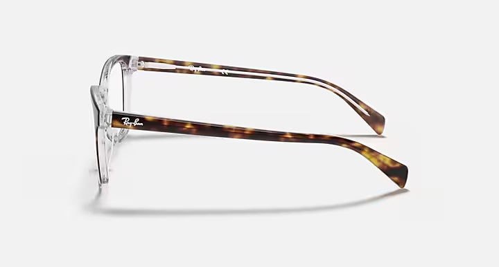 RB5362 OPTICS