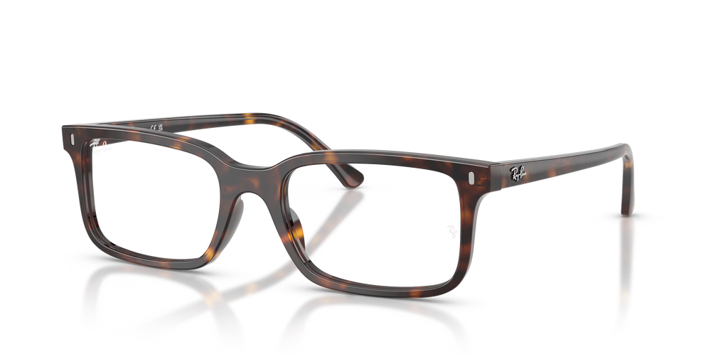 RB5445 OPTICS