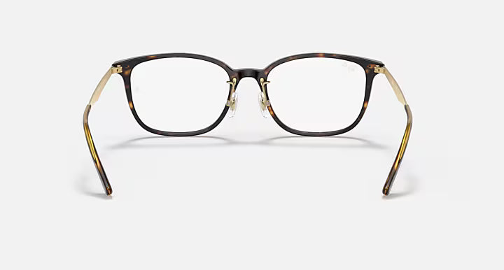 RB5403 OPTICS