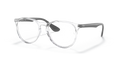 ERIKA OPTICS EXCLUSIVE