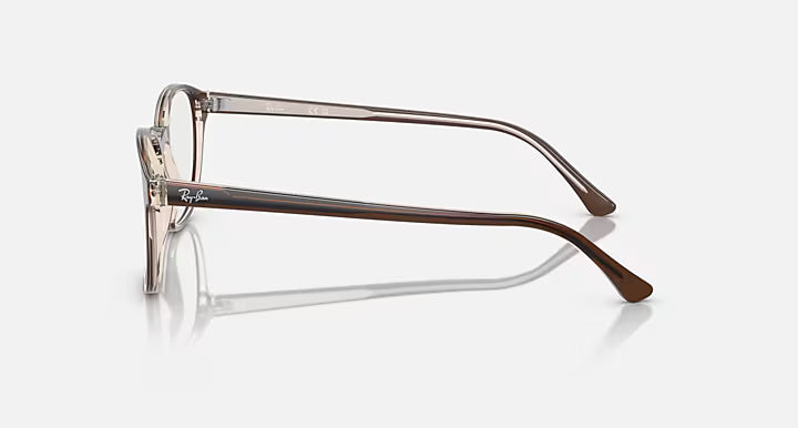 RB5417 OPTICS