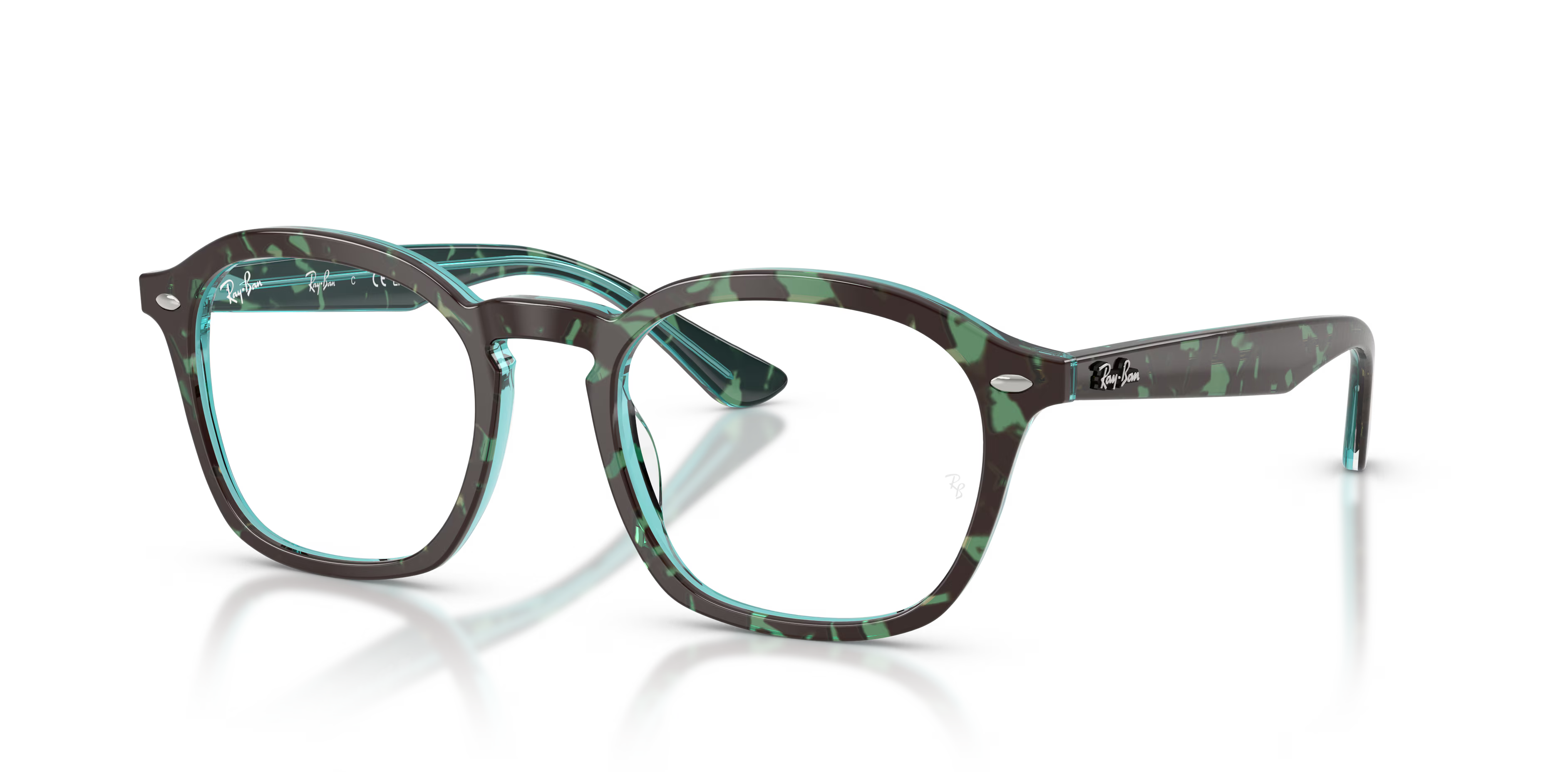 RB5451 OPTICS