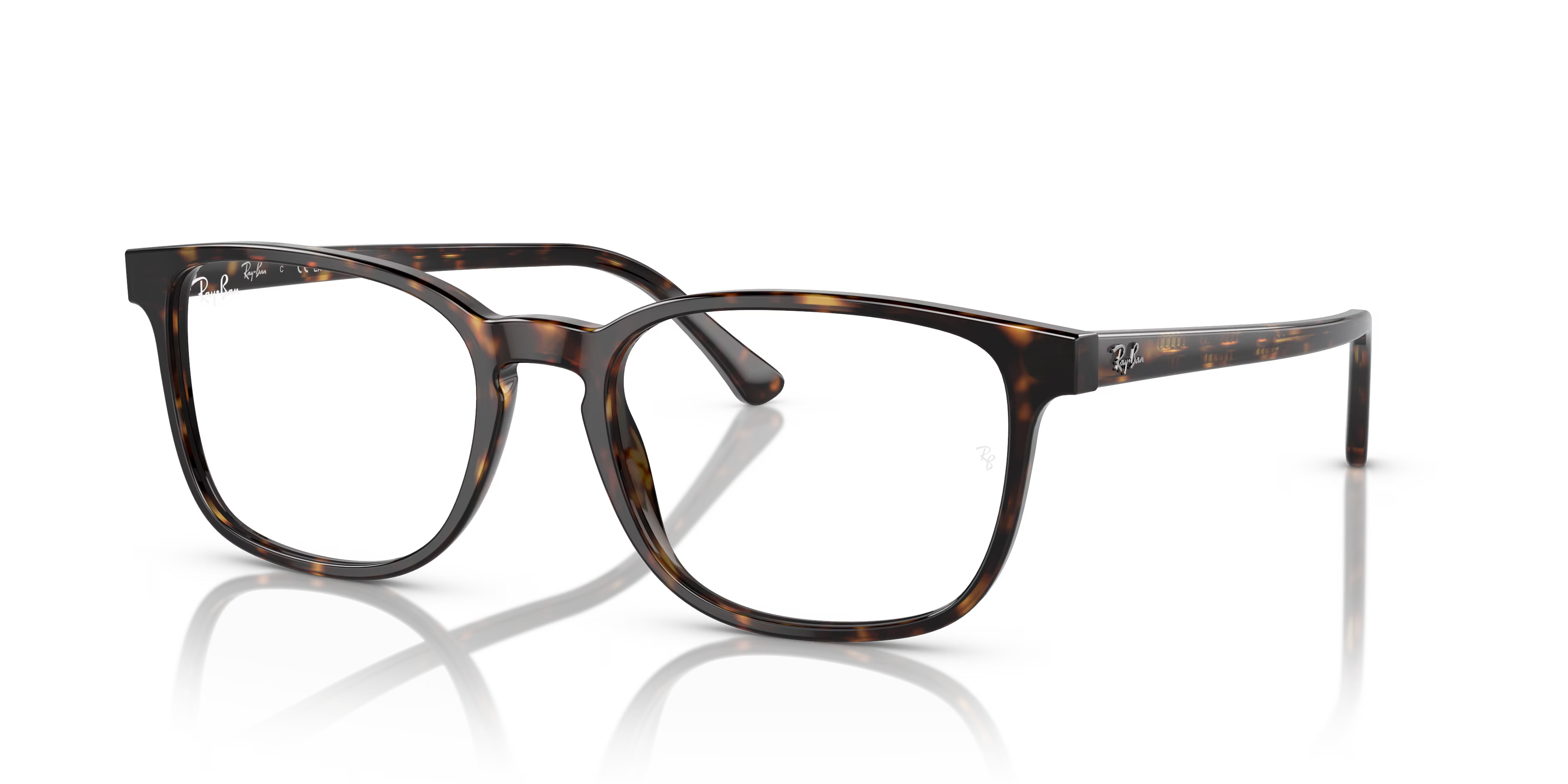 RB5418 OPTICS