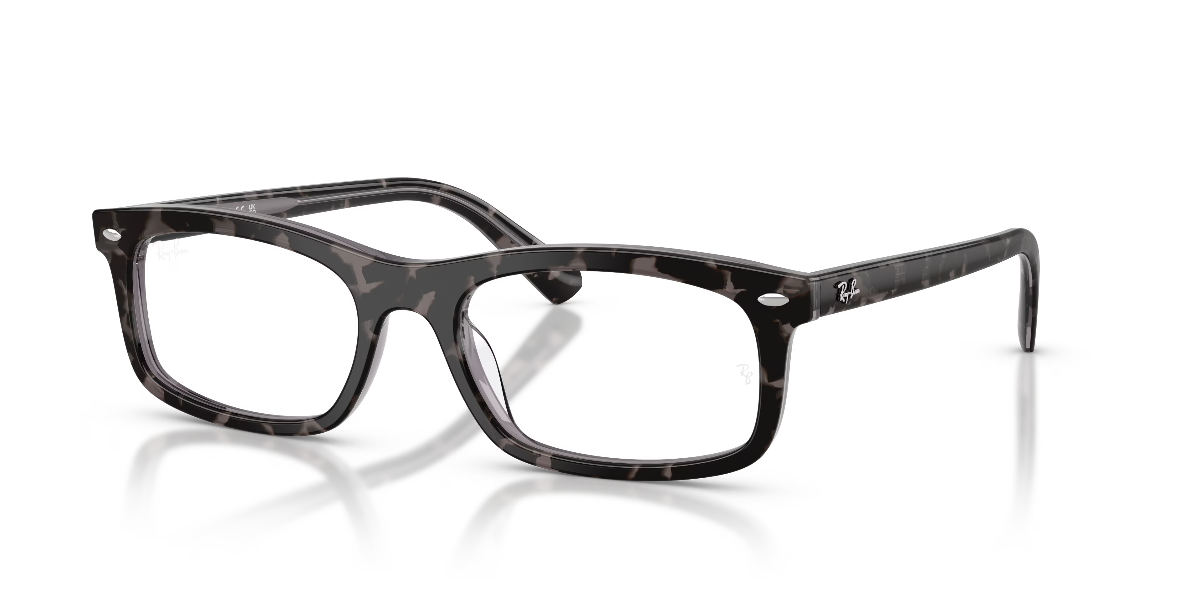 RB5450 OPTICS