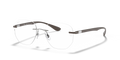 RB8766 OPTICS