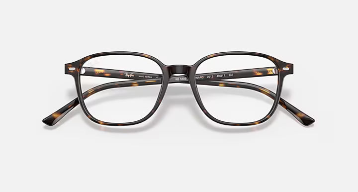 LEONARD OPTICS