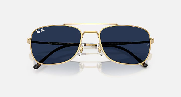 RB3754 TRANSITIONS®