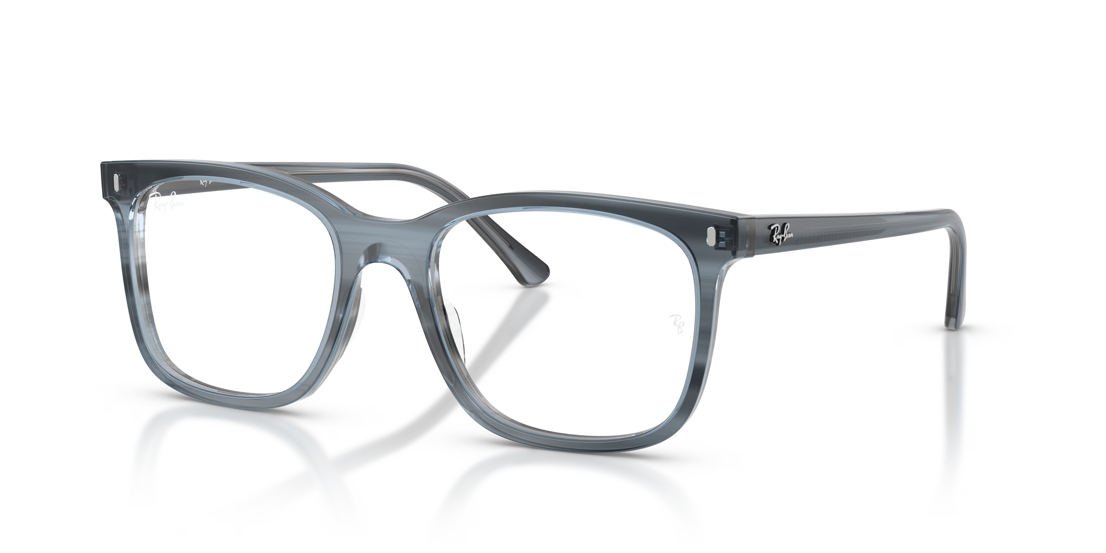 RB5446 OPTICS