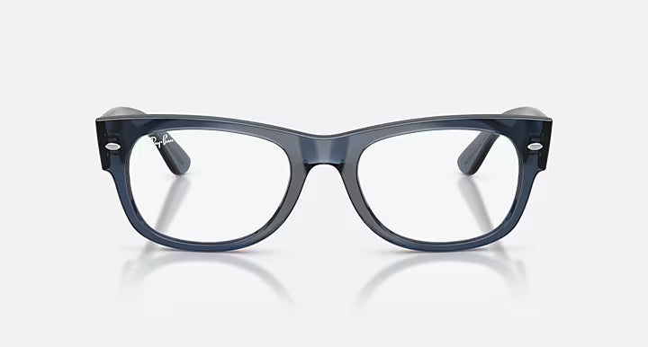MEGA WAYFARER II OPTICS