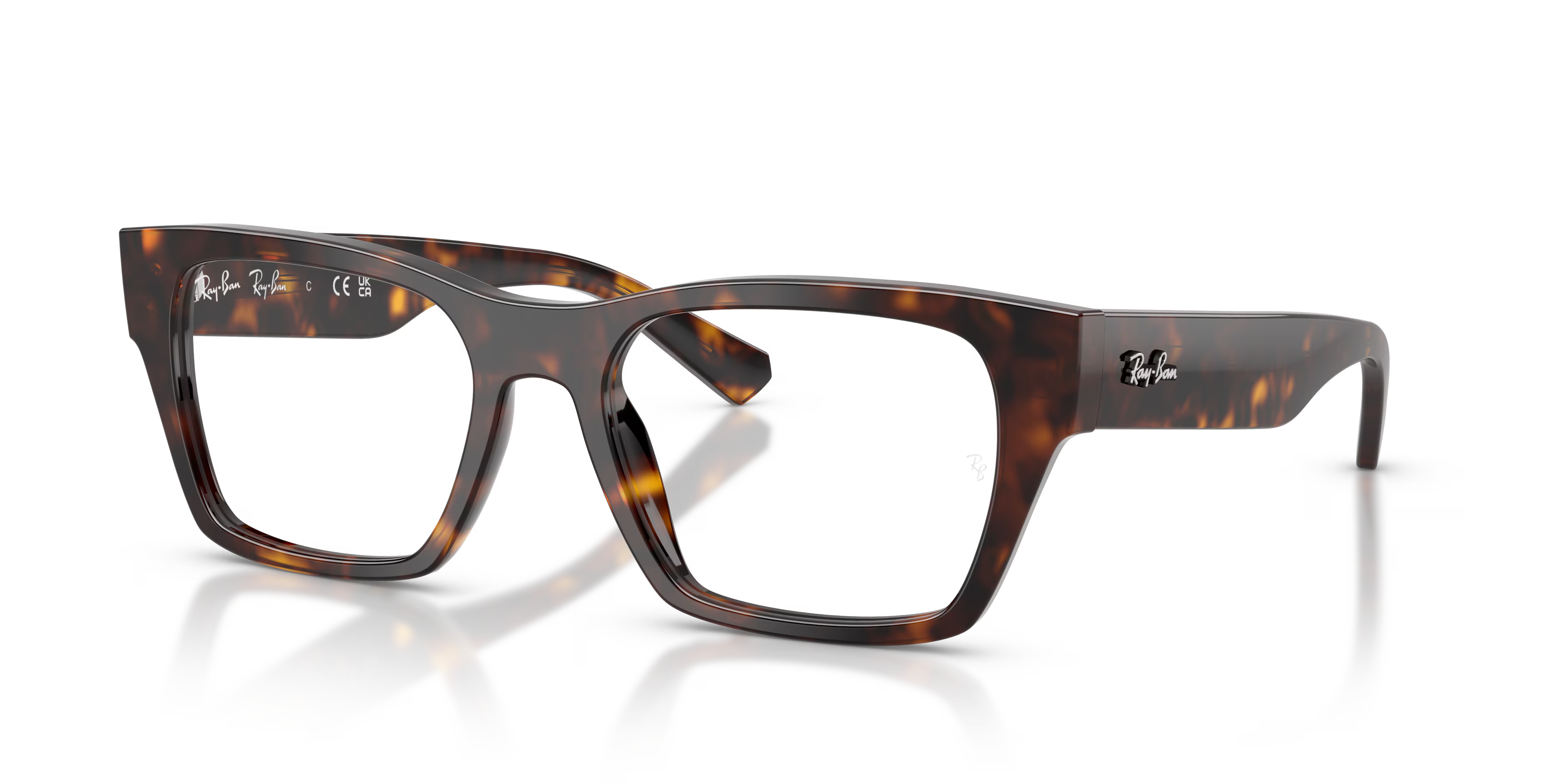 RB5448 OPTICS