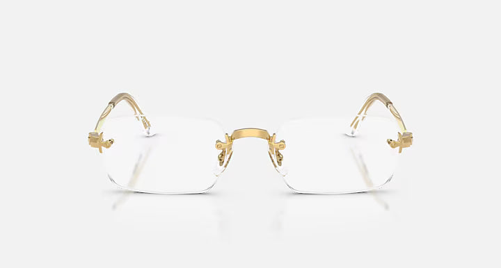 RB3928V OPTICS BY A$AP ROCKY