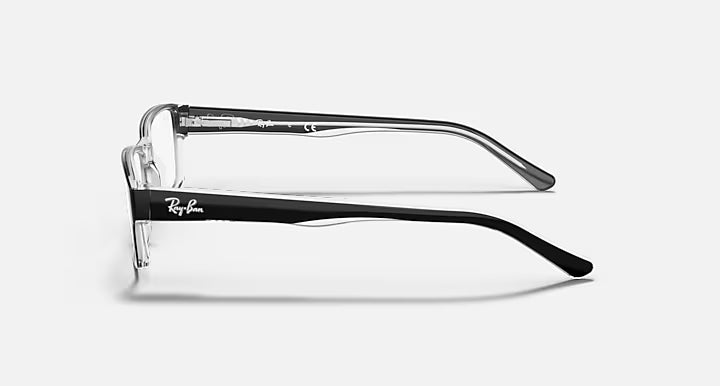RB5169 OPTICS