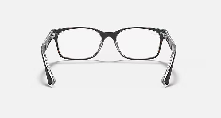 RB5286 OPTICS
