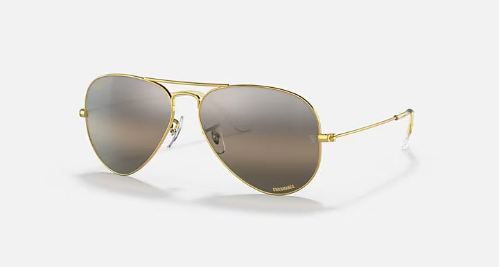 AVIATOR POLARIZED+ LENSES