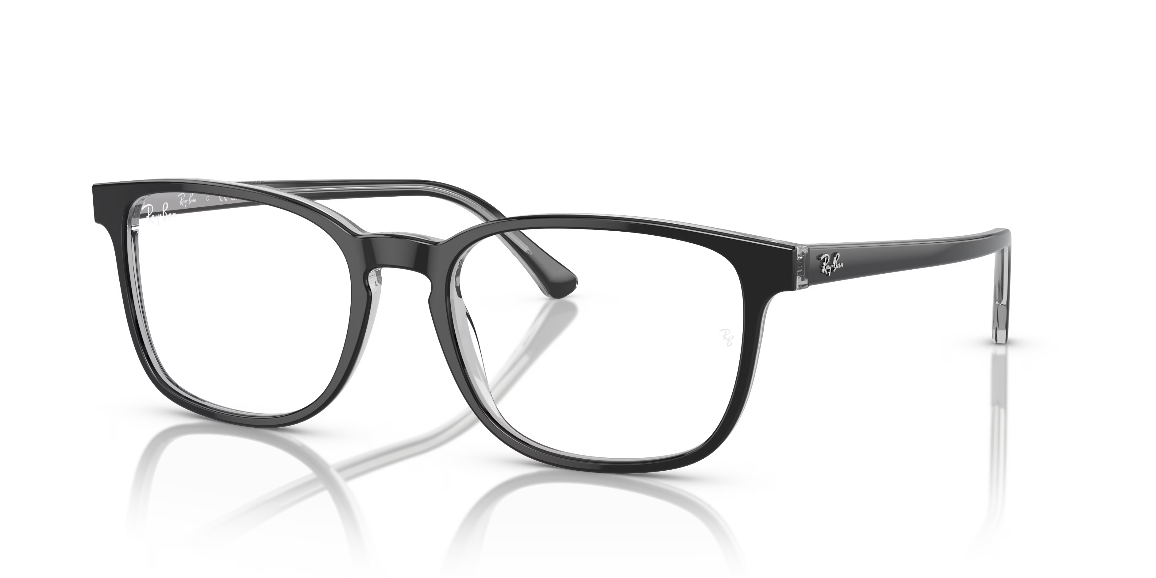 RB5418 OPTICS