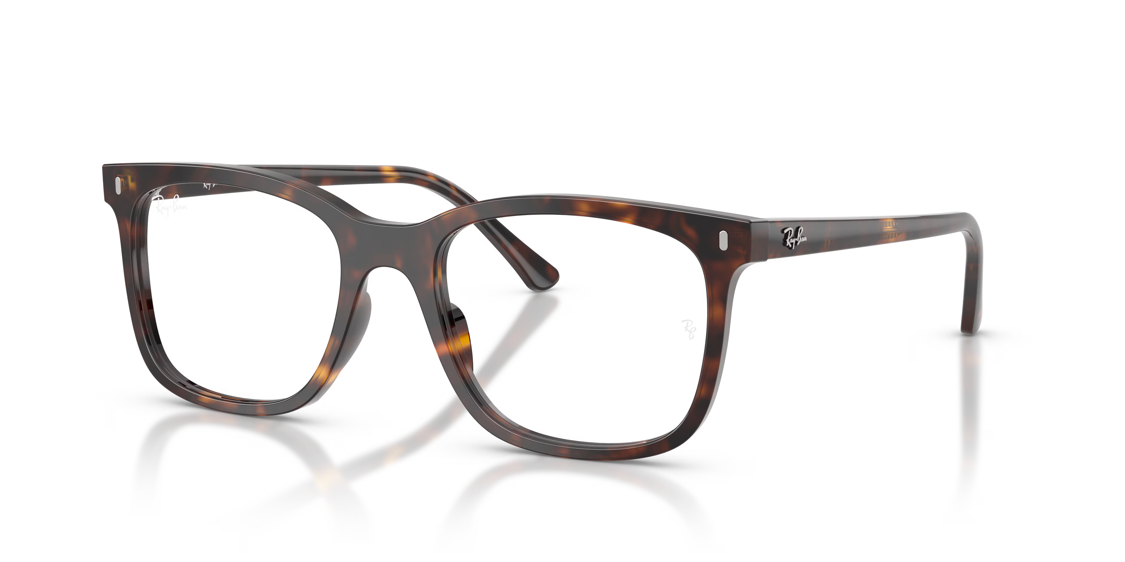 RB5446 OPTICS