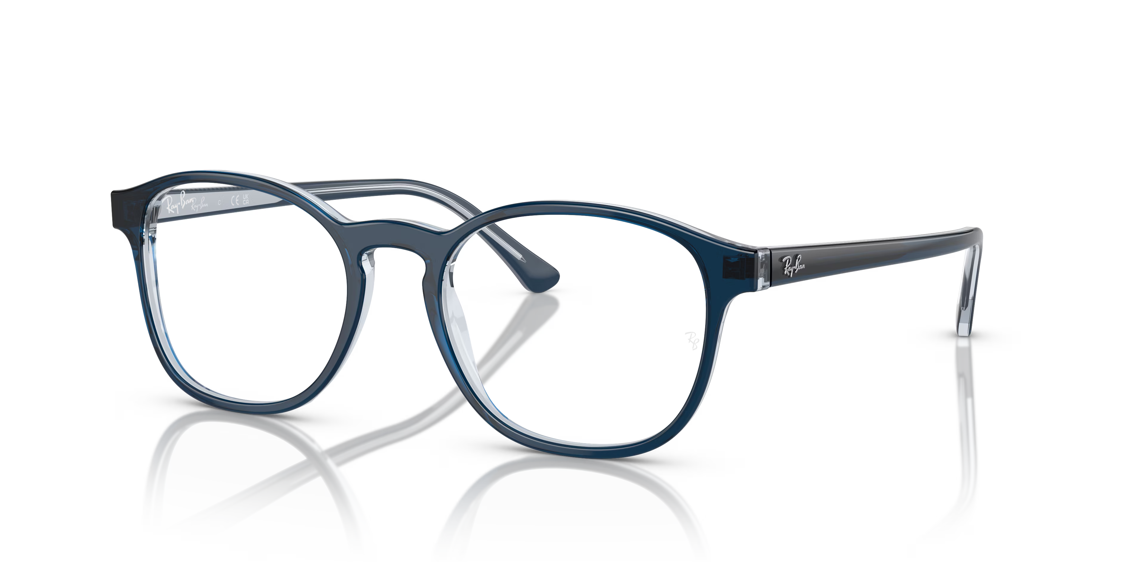 RB5417 OPTICS