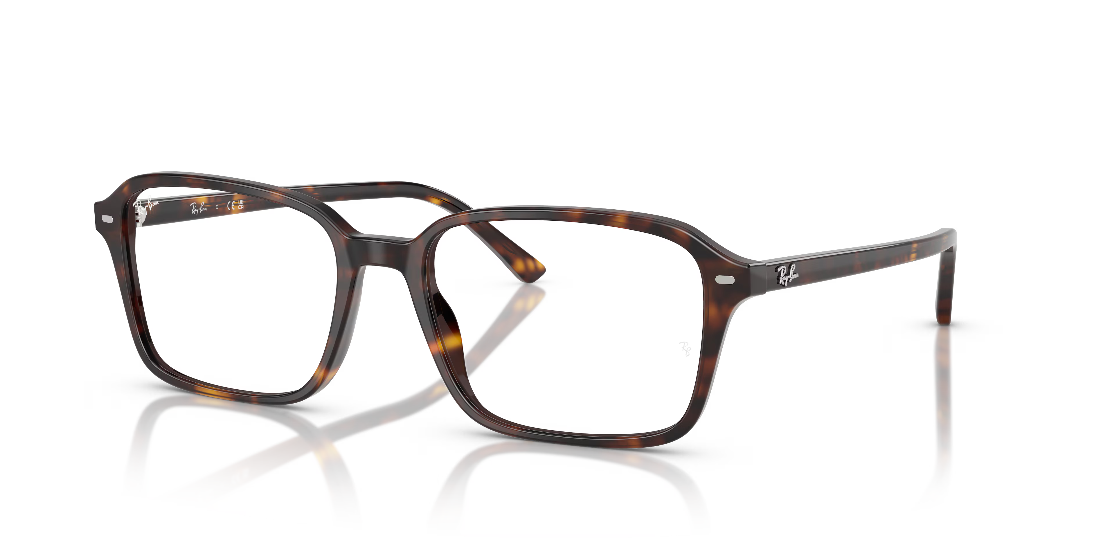 RAIMOND OPTICS