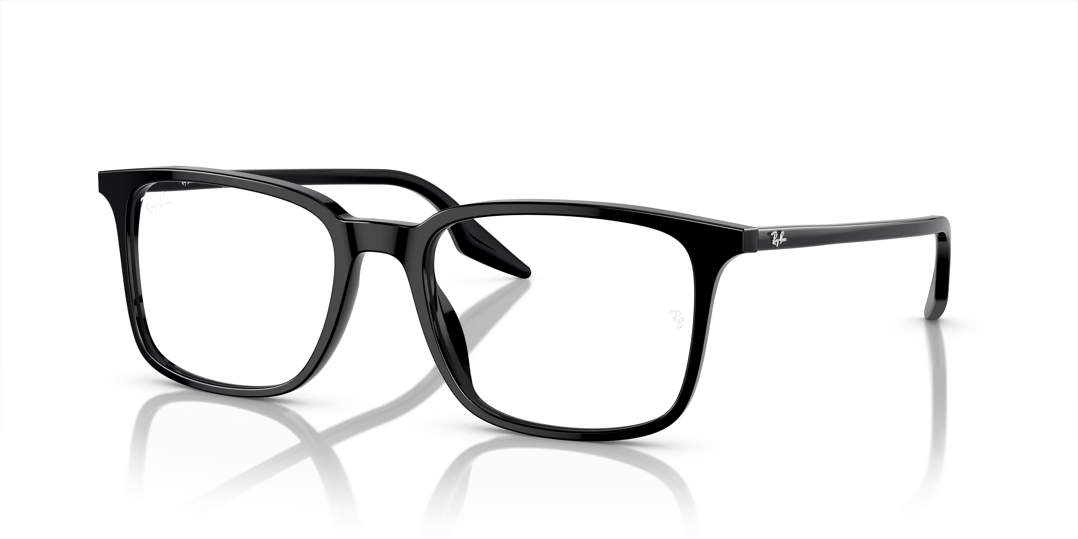 RB5421 OPTICS