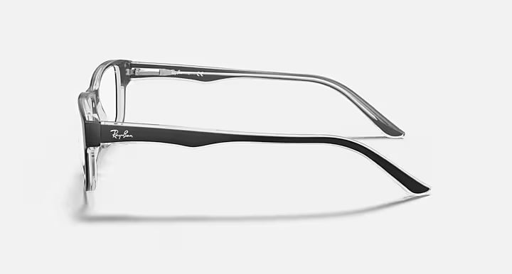 RB5245 OPTICS