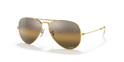 AVIATOR POLARIZED+ LENSES