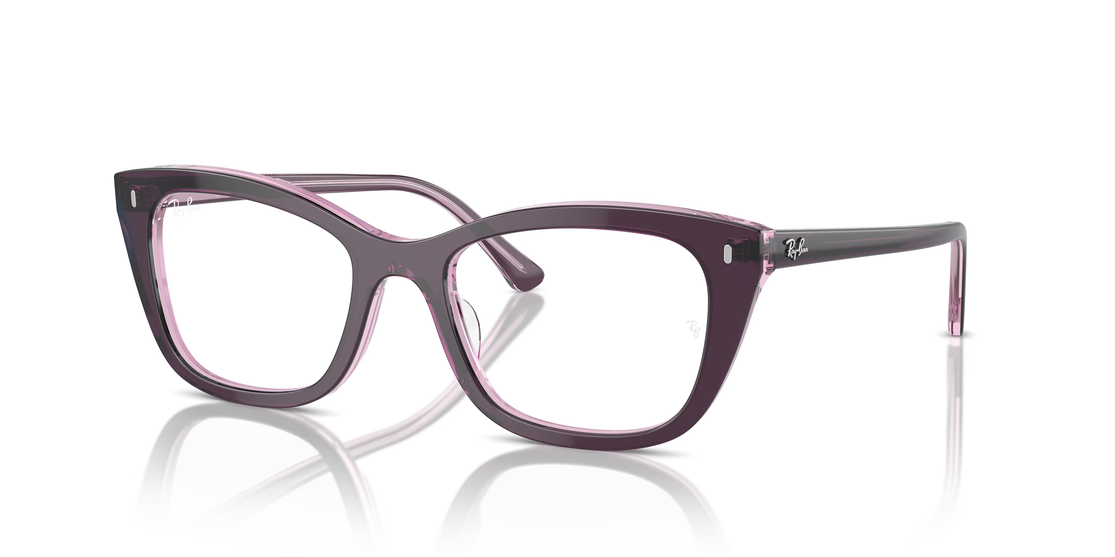 RB5433 OPTICS