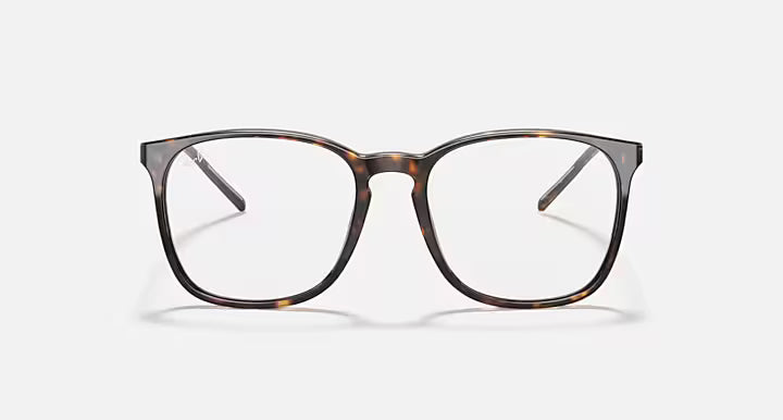 RB5387 OPTICS