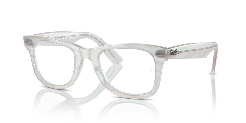 WAYFARER EASE OPTICS CHANGE