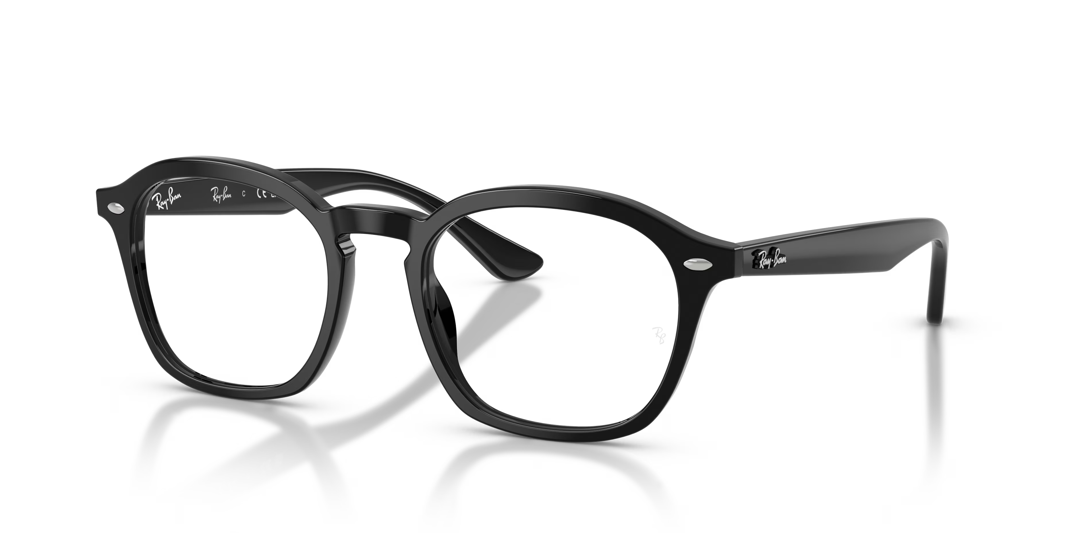 RB5451 OPTICS