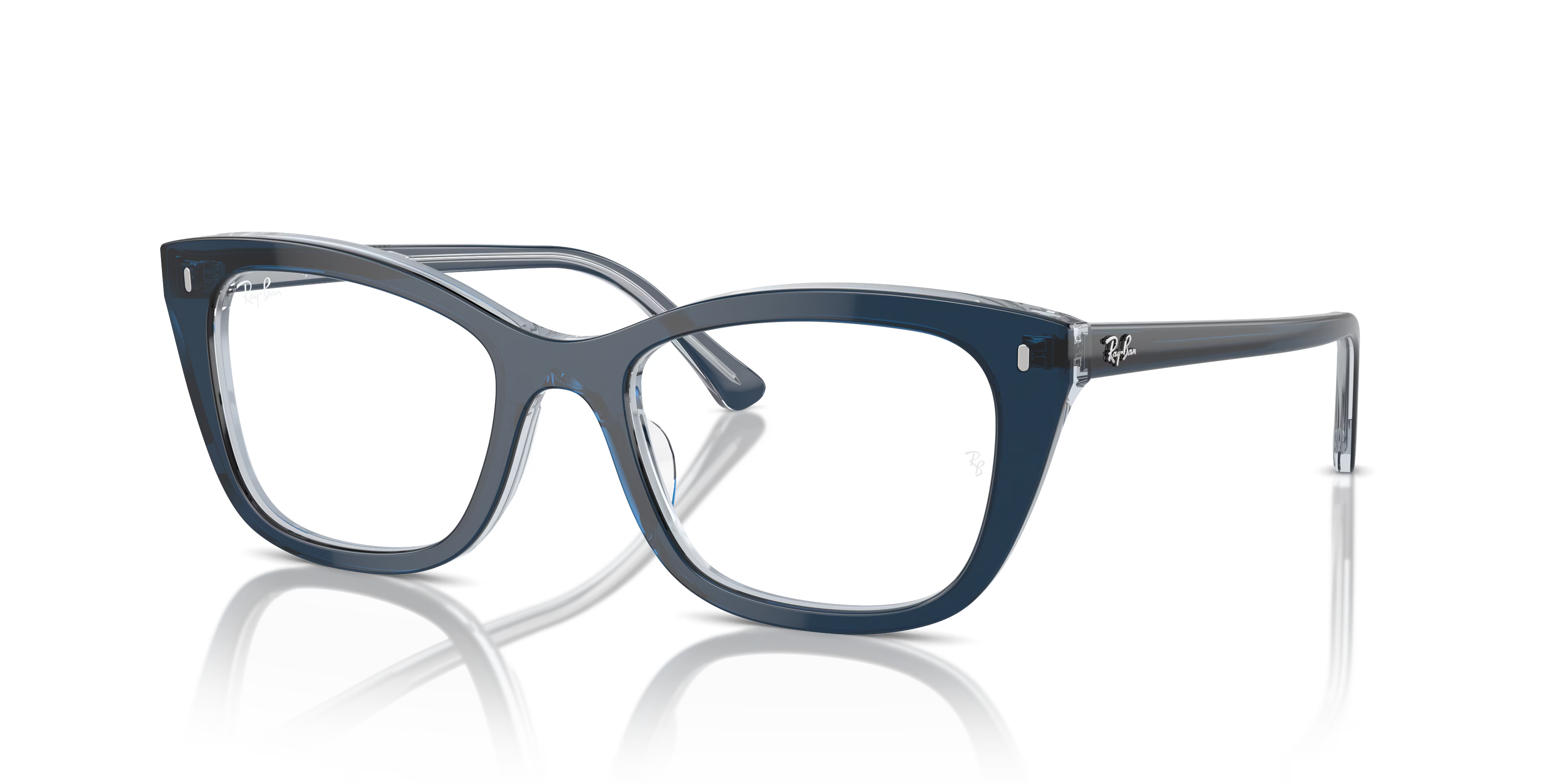 RB5433 OPTICS