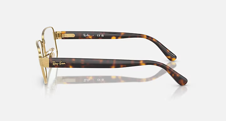 RB6529 OPTICS