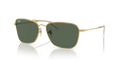 CARAVAN REVERSE