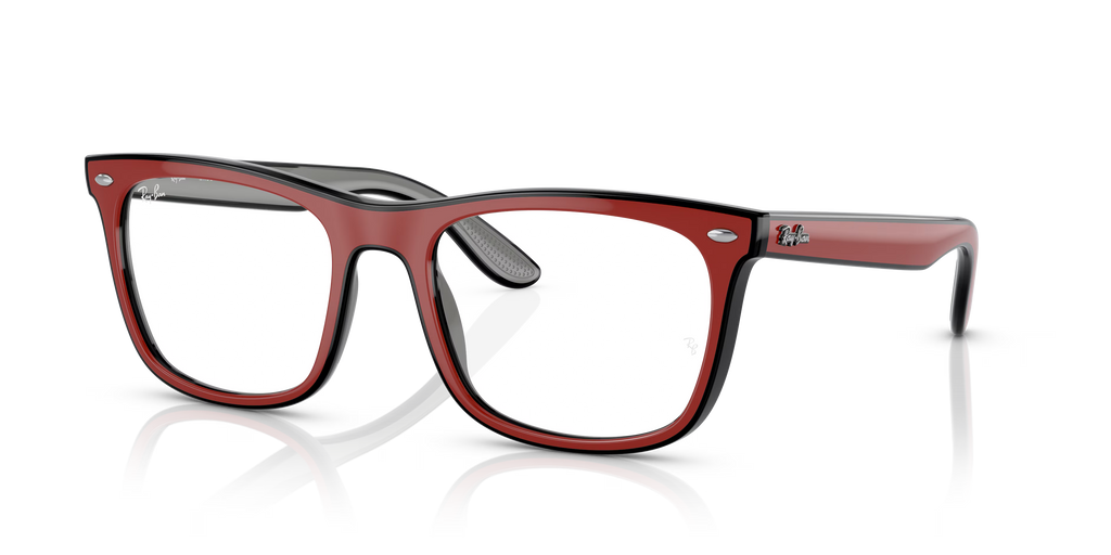 RB7209 OPTICS