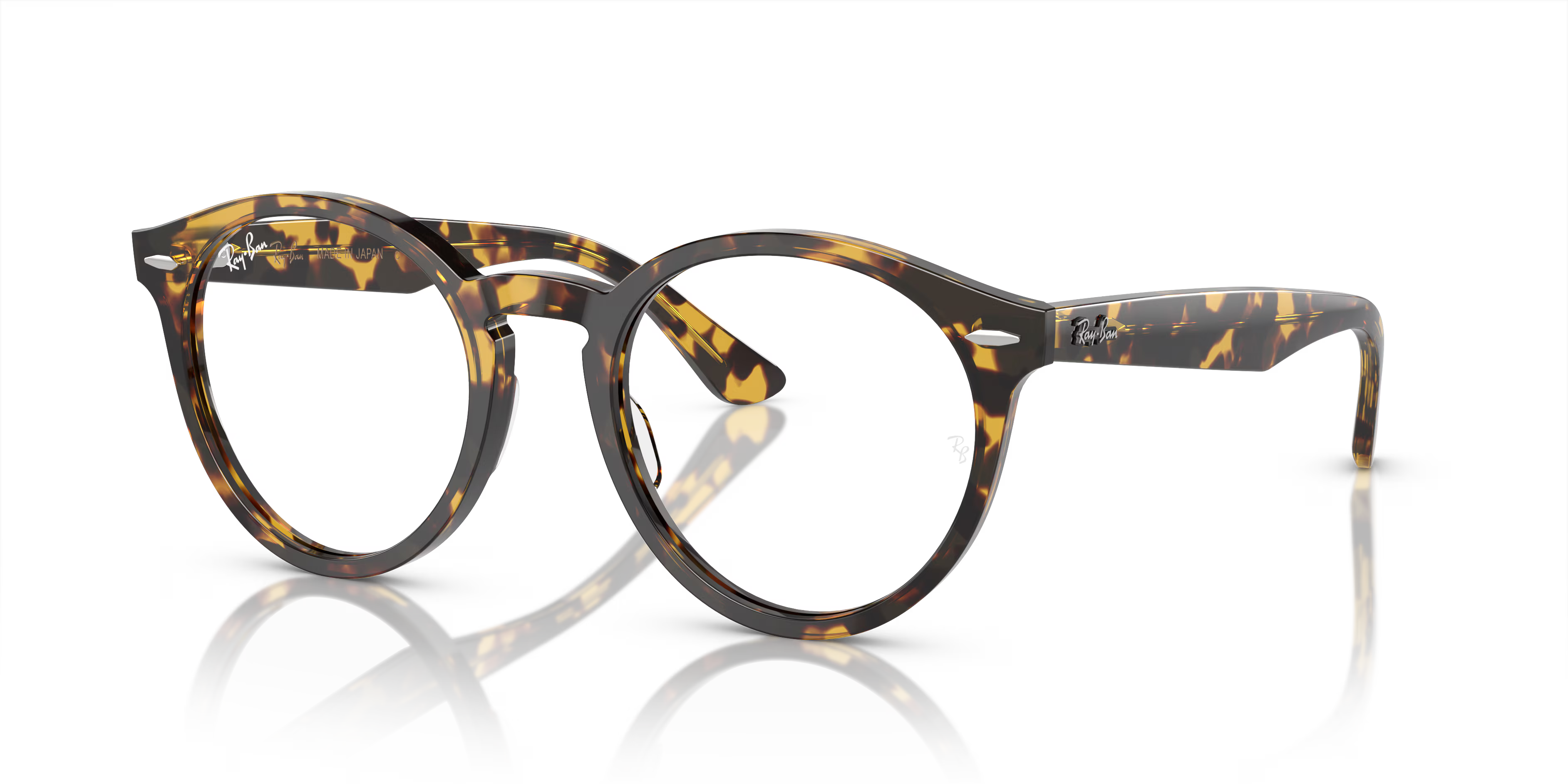 LARRY OPTICS