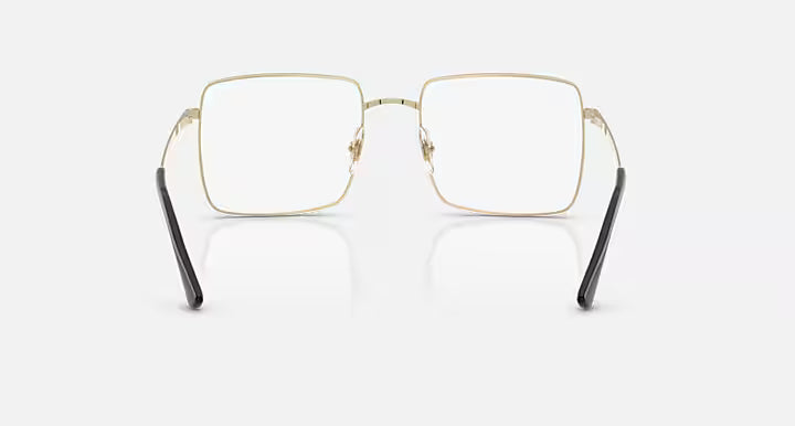 BRIX OPTICS BIO-BASED