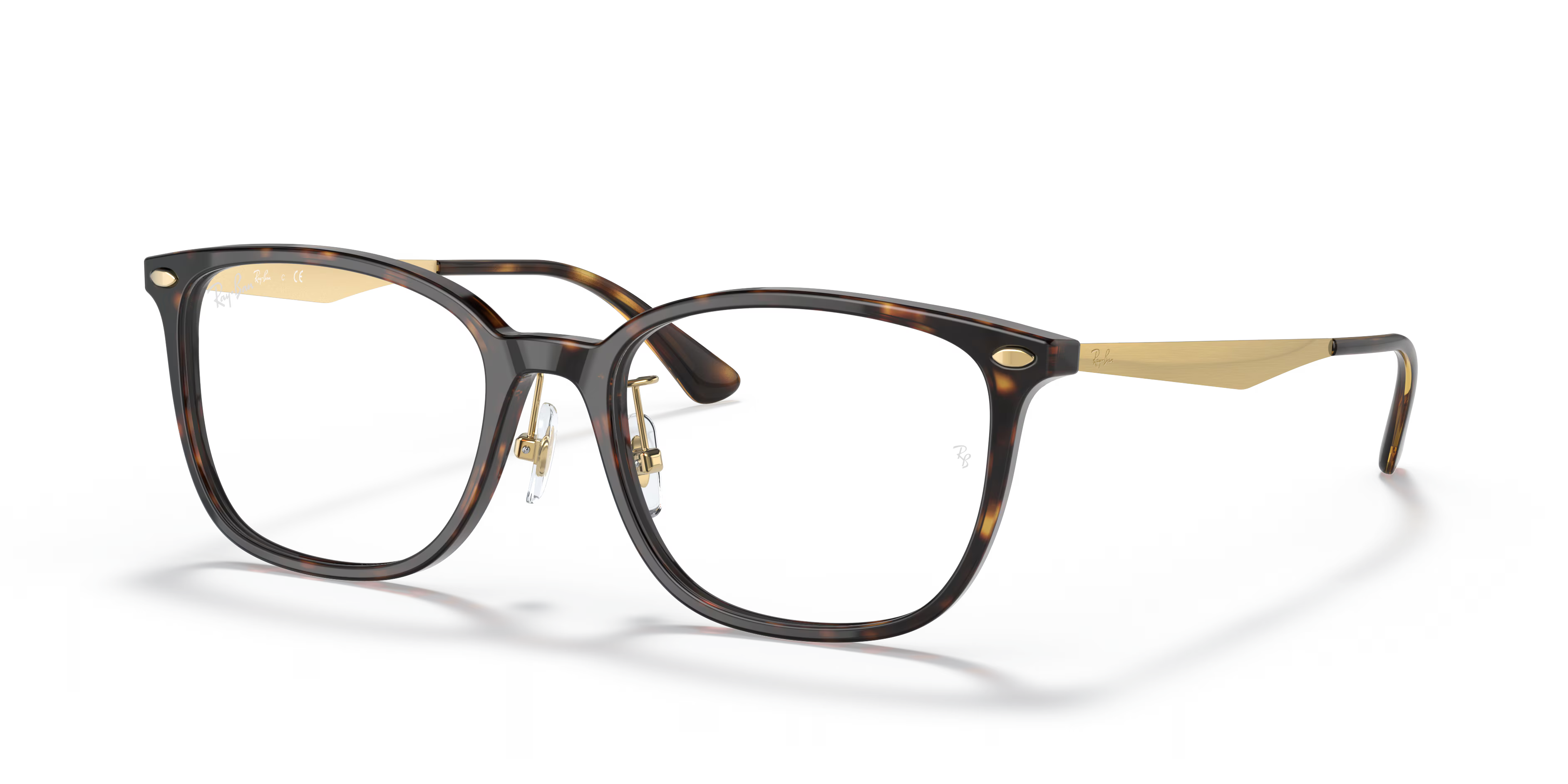 RB5403 OPTICS