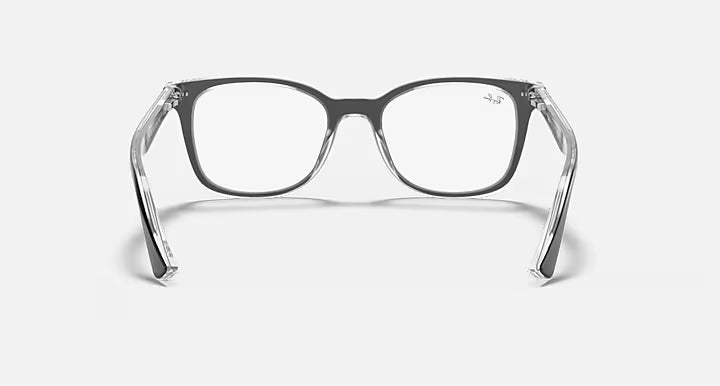 RB5285 OPTICS