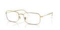 RB3746V OPTICS